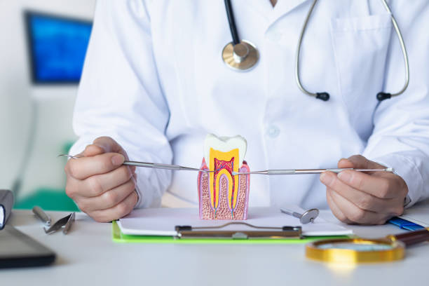 Best Emergency Root Canal Therapy in Punta Rassa, FL